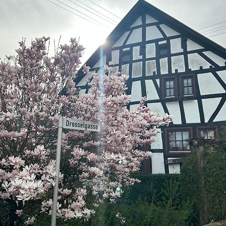 Das Pautzen Haus Daun Bagian luar foto