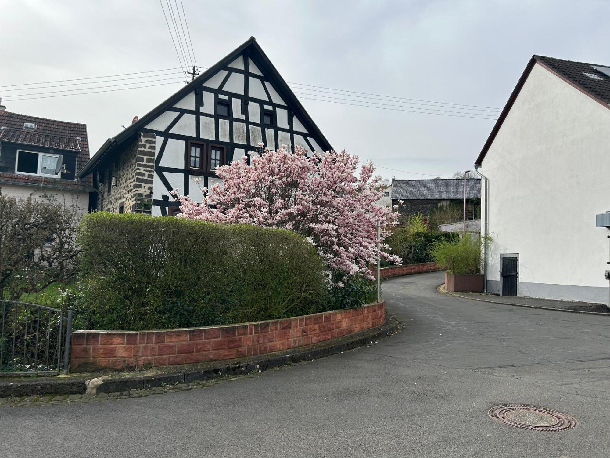 Das Pautzen Haus Daun Bagian luar foto