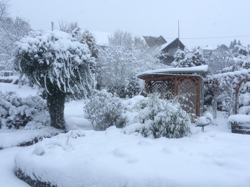Das Pautzen Haus Daun Bagian luar foto