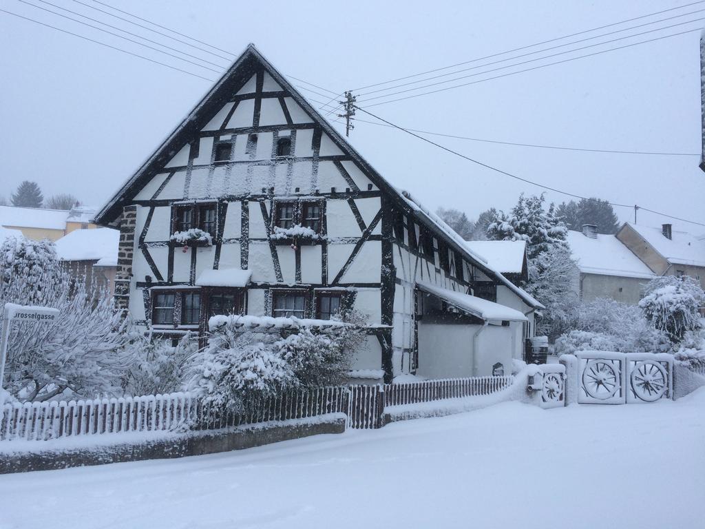 Das Pautzen Haus Daun Bagian luar foto